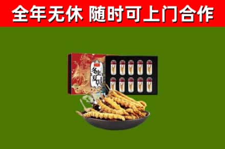 双柏回收冬虫夏草价格
